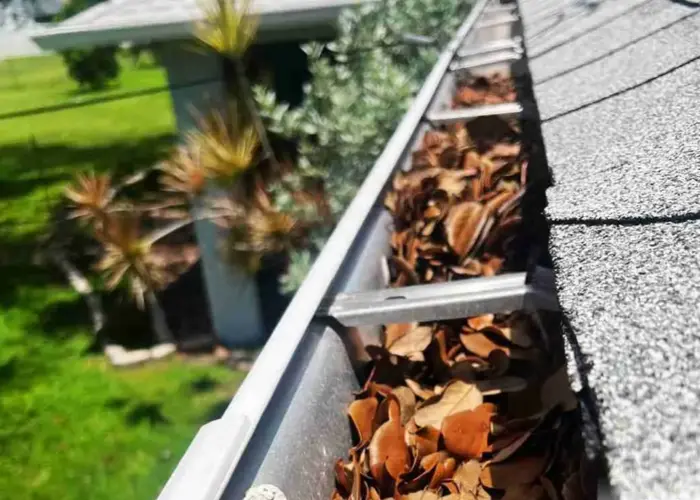 Falcon Heights gutter cleaning home page